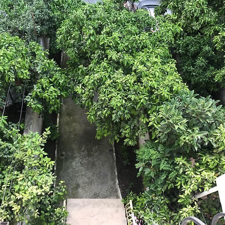 Nina Guest House 地拉那 外观 照片